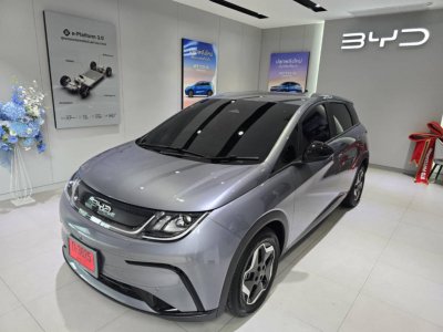 BYD DOLPHIN ELECTRIC 435 KM AUTOMATIC LEATHER BIG SCREEN BACK CAMERA 2025