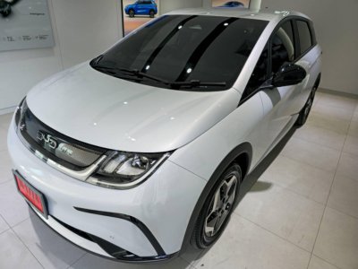 BYD DOLPHIN ELECTRIC 435 KM AUTOMATIC LEATHER BIG SCREEN BACK CAMERA 2025