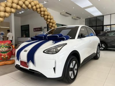 GEELY EX 2 ELECTRIC 395 KM AUTOMATIC LEATHER BACK CAMERA 2026