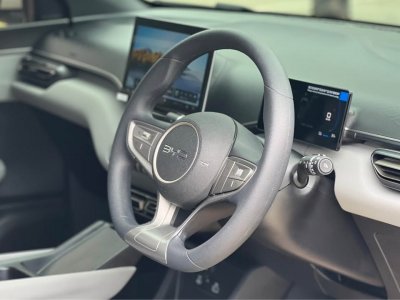 BYD ATTO 1 ELECTRIC 380 KM LEATHER BACK CAMERA 2026