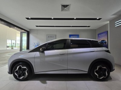 BYD DOLPHIN ELECTRIC 435 KM AUTOMATIC LEATHER BIG SCREEN BACK CAMERA 2025