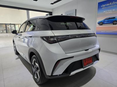 BYD DOLPHIN ELECTRIC 435 KM AUTOMATIC LEATHER BIG SCREEN BACK CAMERA 2025