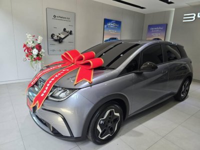 BYD DOLPHIN ELECTRIC 435 KM AUTOMATIC LEATHER BIG SCREEN BACK CAMERA 2025