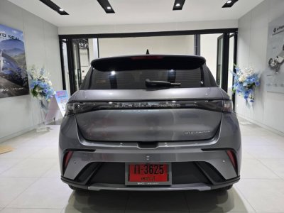 BYD DOLPHIN ELECTRIC 435 KM AUTOMATIC LEATHER BIG SCREEN BACK CAMERA 2025